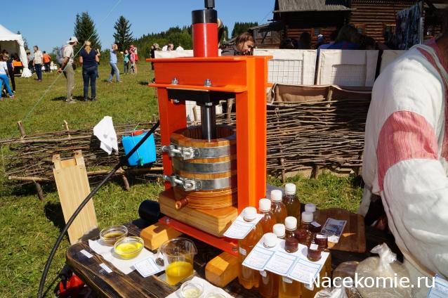 Выставки, музеи, фестивали: анонсы, фотографии, обсуждение