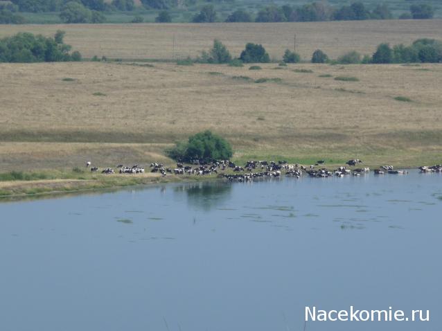 Куклы в Народных Костюмах – Розыгрыши, подарки, викторины, конкурсы