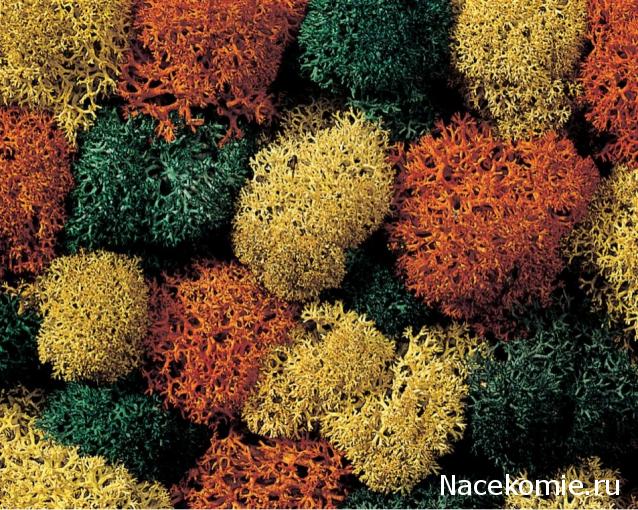 Железная Дорога в Миниатюре - Болталка