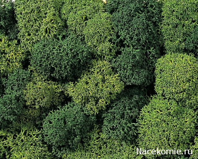 Железная Дорога в Миниатюре - Болталка