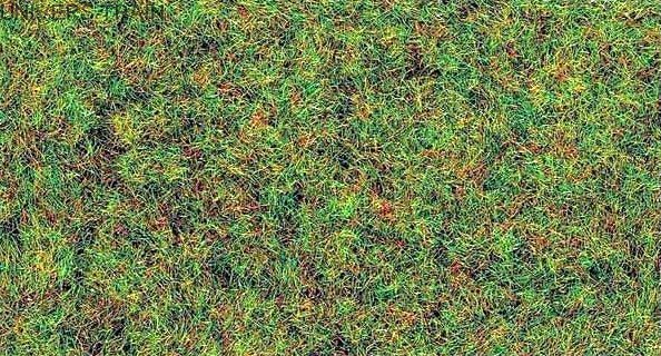 Железная Дорога в Миниатюре - Болталка