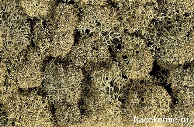 Железная Дорога в Миниатюре - Болталка