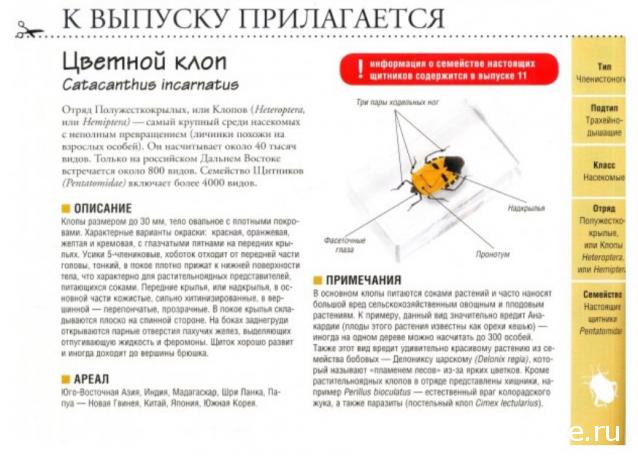 Насекомые и их знакомые 2014 - График Выхода и обсуждение