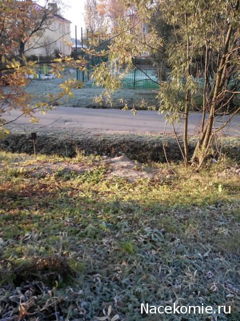 Куклы в народных костюмах – "Девчушки-болтушки"