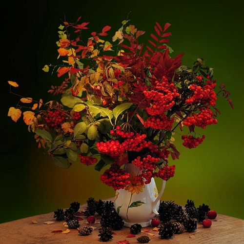 Наши Дни Рождения