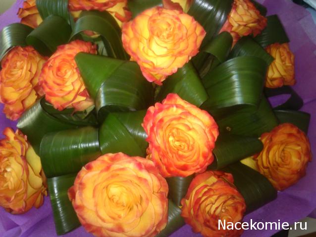 Наши Дни Рождения