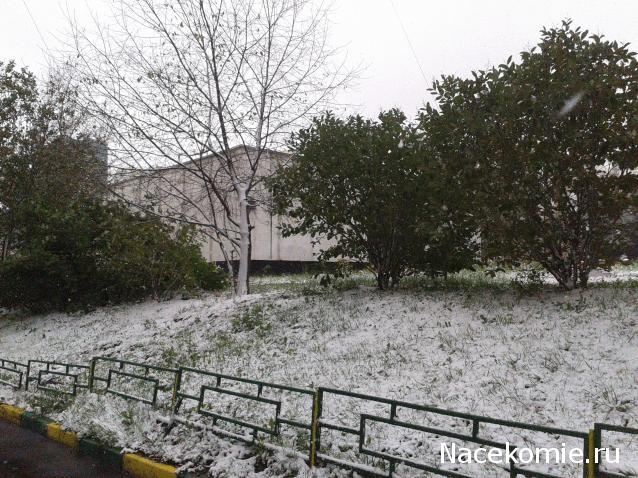 Annushka84 - Домик для медведей и кое-что еще