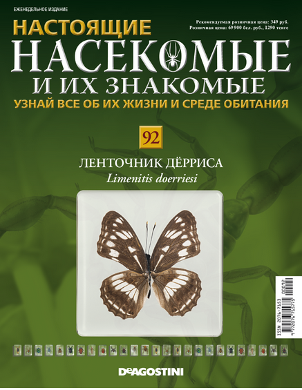 Бабочки №92 - Ленточник Дёрриса (Limenitis Doerriesi)