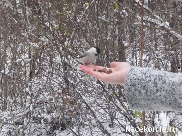 Куклы в народных костюмах – "Девчушки-болтушки"