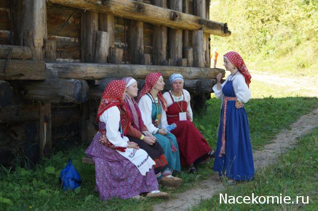 Выставки, музеи, фестивали: анонсы, фотографии, обсуждение