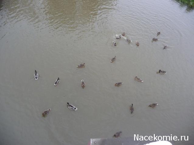 Куклы в народных костюмах – "Девчушки-болтушки"
