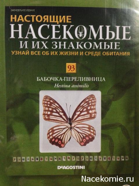 Насекомые и их знакомые 2014 - График Выхода и обсуждение