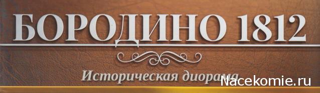 Историческая диорама "Бородино 1812" - Ашет - тест