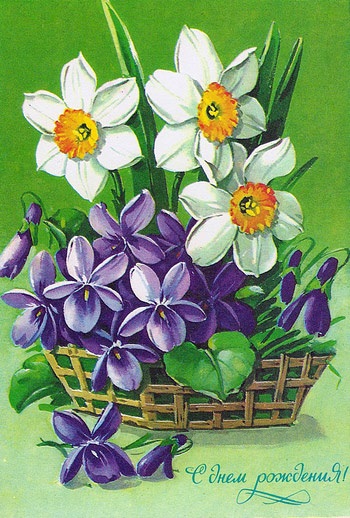 daffodil - Румбокс в бордовых тонах