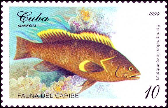 Почтовые марки Мира №99