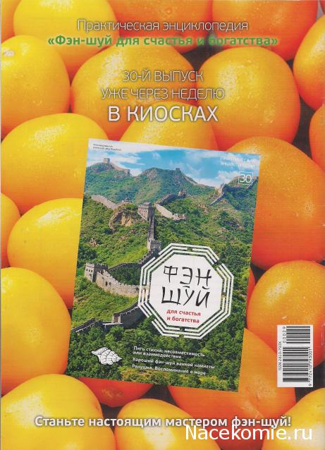Фэн-Шуй для Счастья и Богатства - журнал (АиФ)