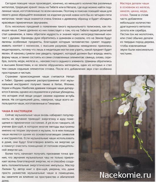 Фэн-Шуй для Счастья и Богатства - журнал (АиФ)