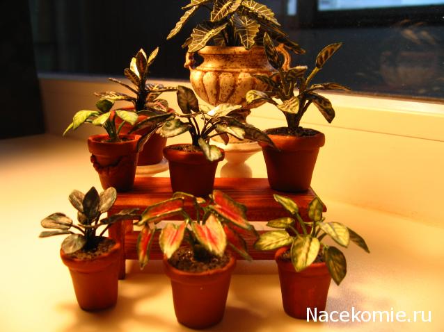 Galya: "My house is my castle"