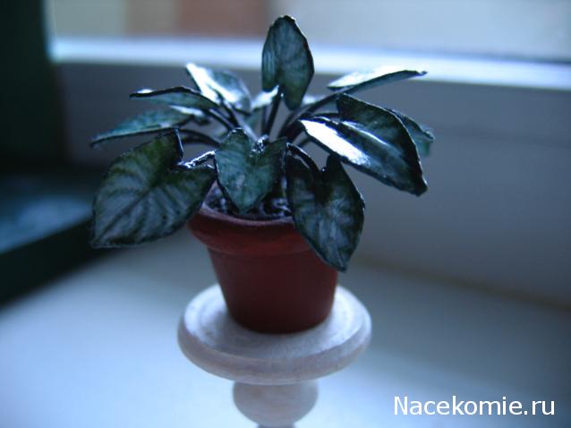 Galya: "My house is my castle"