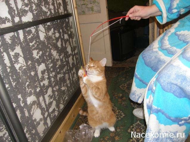 Куклы в Костюмах Народов Мира - Игра "Зимние сказки"