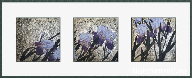 Наши Дни Рождения