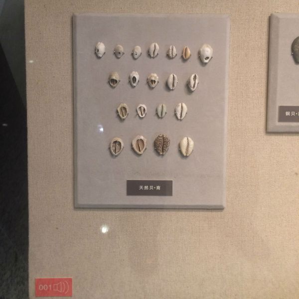 Иностранные монеты и банкноты