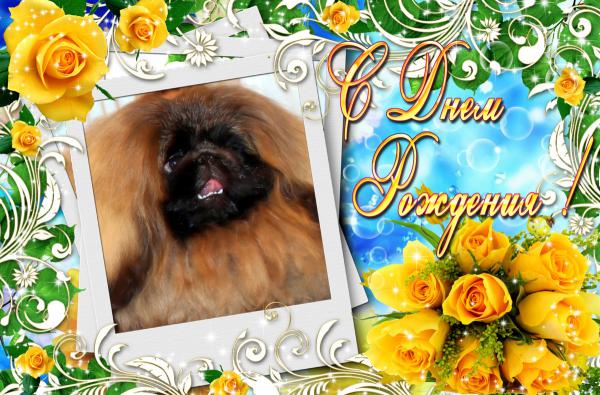 olga63- не знаю что получится