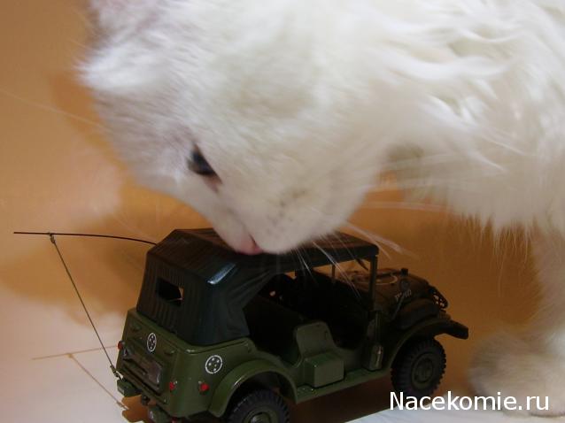 Фото наших коллекций автомобилей