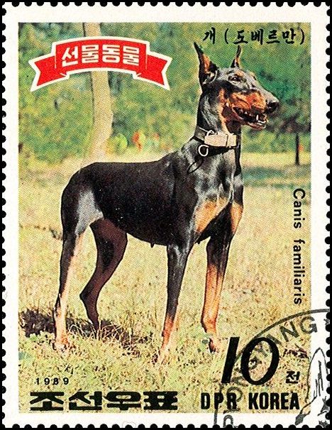 Почтовые марки Мира №102