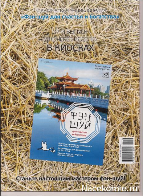Фэн-Шуй для Счастья и Богатства - журнал (АиФ)
