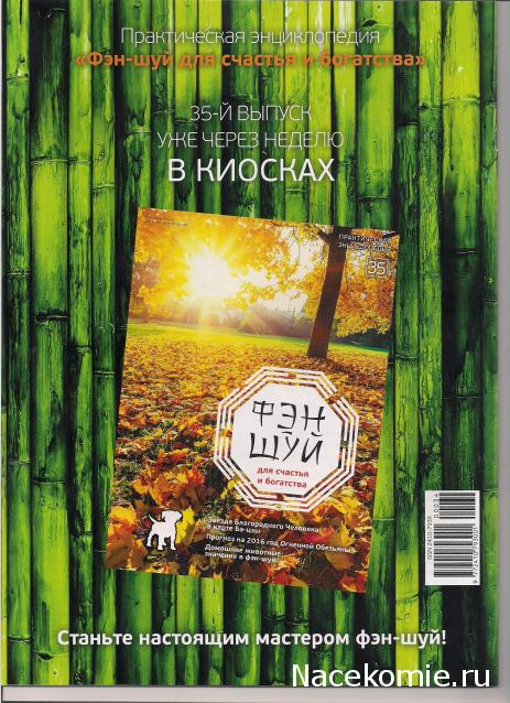 Фэн-Шуй для Счастья и Богатства - журнал (АиФ)