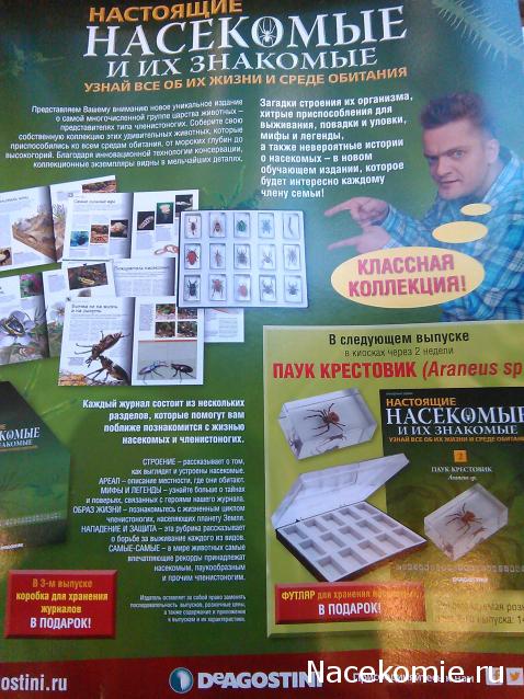 Насекомые и их знакомые 2014 - График Выхода и обсуждение