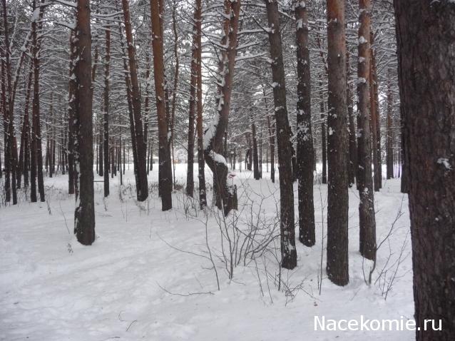 Куклы в народных костюмах – "Девчушки-болтушки"