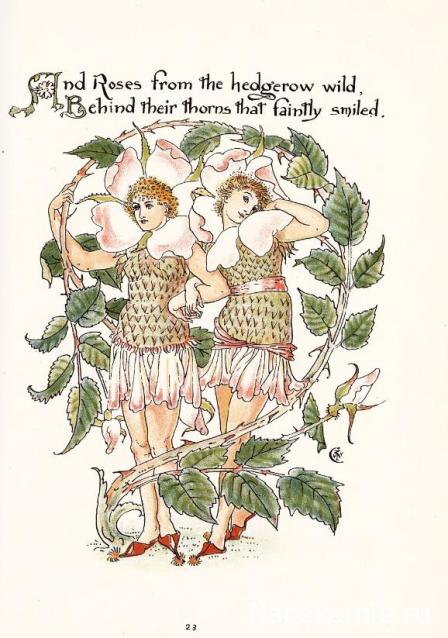 Таро Гармония