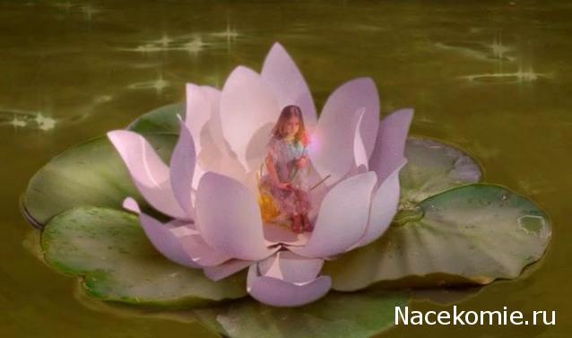 Таро Цветов