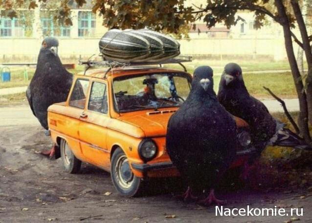 Автолегенды СССР Лучшее №52 ЗАЗ-968М