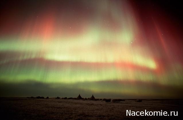 Куклы в народных костюмах №100 Кукла в нганасанском женском костюме