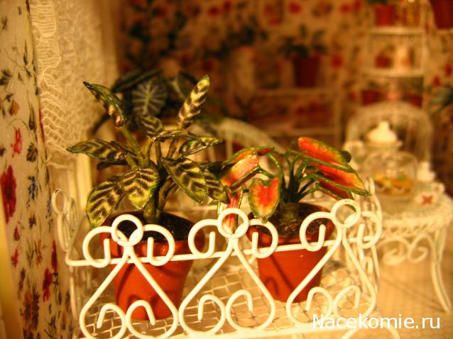 Galya: "My house is my castle"