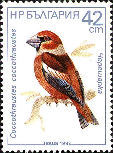 Почтовые марки Мира №104