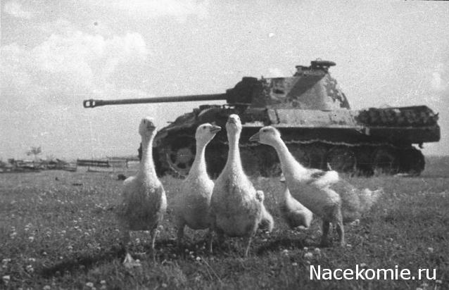 Танкодром (Общая Болталка танковых разделов)