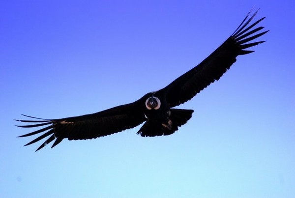 Иностранные монеты и банкноты