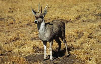 Иностранные монеты и банкноты