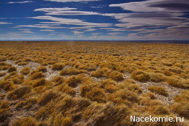 Иностранные монеты и банкноты