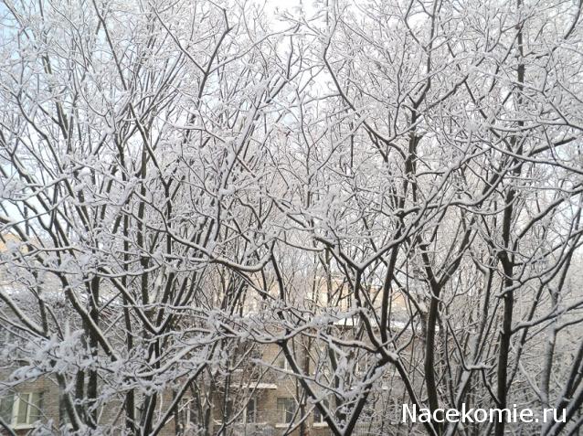 Болталка АЛ и АНС