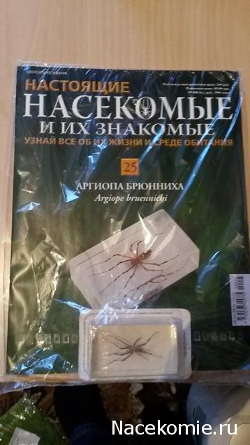 Насекомые и их знакомые Перезапуск 2016 - График выхода и обсуждение