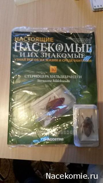 Насекомые и их знакомые Перезапуск 2016 - График выхода и обсуждение