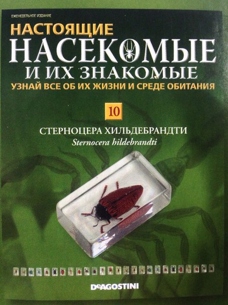 Насекомые и их знакомые Перезапуск 2016 - График выхода и обсуждение