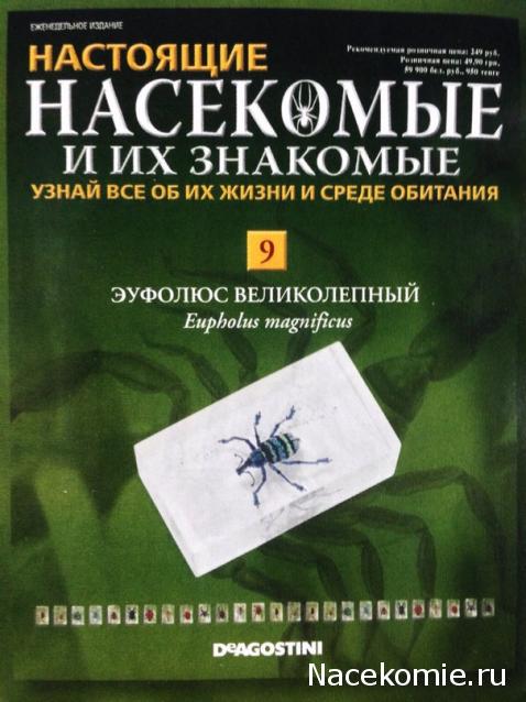 Насекомые и их знакомые Перезапуск 2016 - График выхода и обсуждение