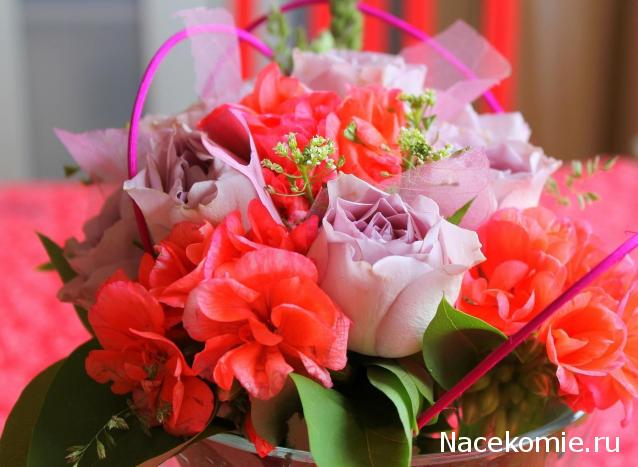 Galya: "My house is my castle"