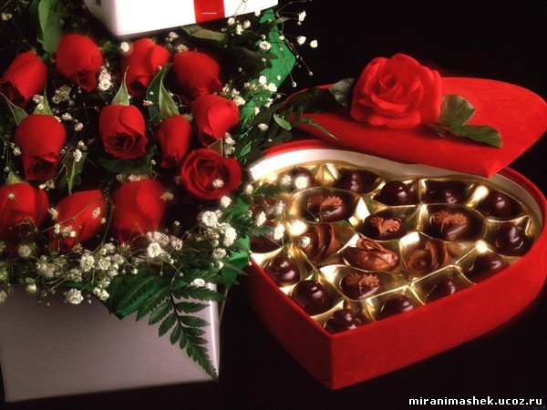 Galya: "My house is my castle"